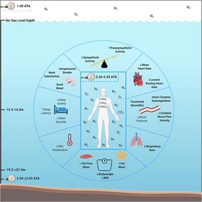 Human Adaptations to Multiday Saturation on NASA NEEMO